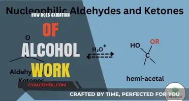 Understanding Alcohol Oxidation: Mechanisms, Reactions, and Chemical Transformations