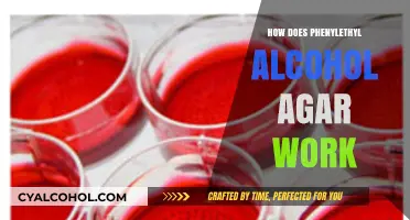 Understanding Phenylethyl Alcohol Agar: Mechanism and Applications in Microbiology