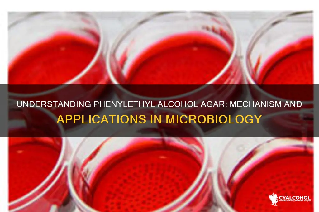 how does phenylethyl alcohol agar work
