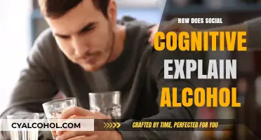Social Cognitive Theory: Understanding Alcohol Use and Behavior Patterns