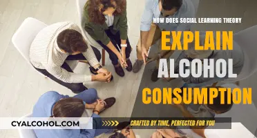 Social Learning Theory: Unraveling the Influence on Alcohol Consumption Habits