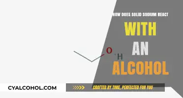 Solid Sodium and Alcohol Reaction: Mechanism, Products, and Safety Tips