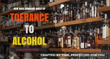 Building Alcohol Tolerance: Factors, Risks, and Healthy Limits Explained