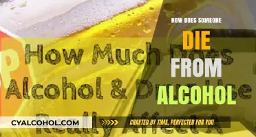 Deadly Effects of Alcohol: Understanding How Excessive Drinking Causes Fatalities