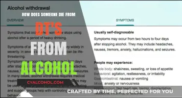 Alcohol's Deadly Impact: Understanding the DT's