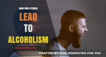 Stress and Alcoholism: Unraveling the Dangerous Connection and Its Impact