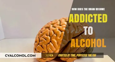 Unraveling Alcohol Addiction: How the Brain Falls into Dependency
