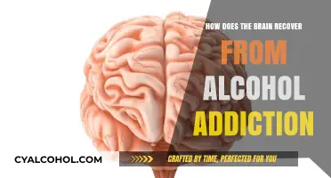 Brain Healing: Overcoming Alcohol Addiction and Restoring Cognitive Function
