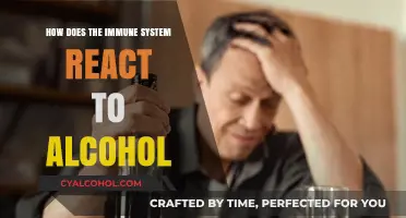 Alcohol's Impact: How the Immune System Responds to Drinking