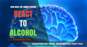 Alcohol's Impact: Unraveling the Limbic System's Complex Reaction