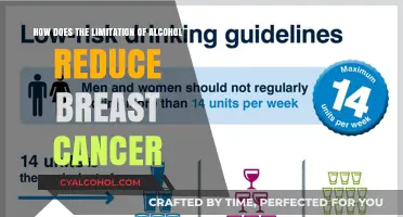 Alcohol Limits: Reducing Breast Cancer Risks