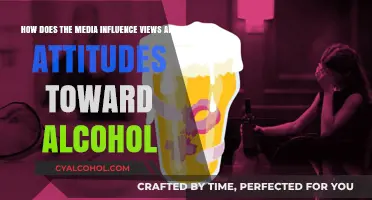 Media's Impact on Alcohol: Views and Attitudes