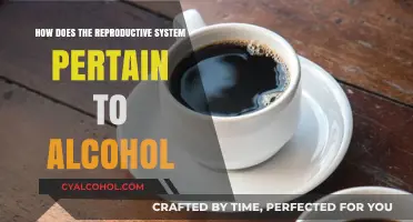 Alcohol's Impact on Reproductive Health: Understanding the Connection