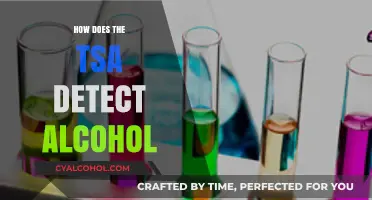 TSA Alcohol Detection Methods: How Screeners Identify Liquids at Security Checkpoints