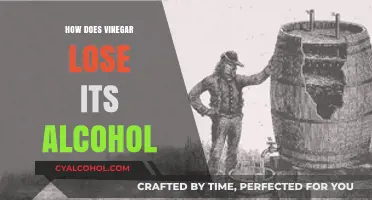 How Vinegar Transforms: The Science Behind Alcohol Loss in Vinegar