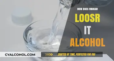 How Vinegar Loses Its Alcohol: The Fermentation Process Explained