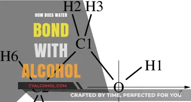 Understanding the Molecular Interaction: How Water Bonds with Alcohol
