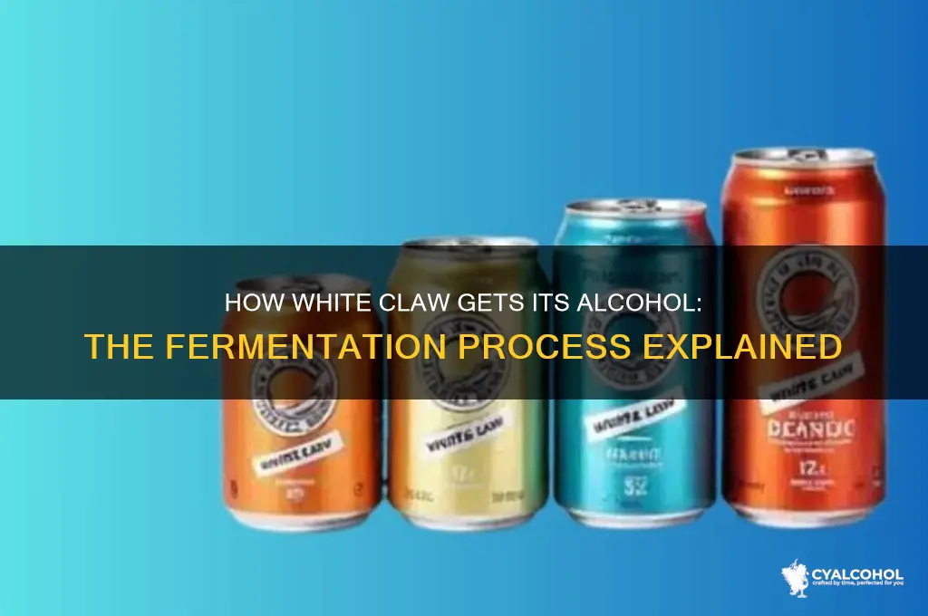 how does white claw have alcohol