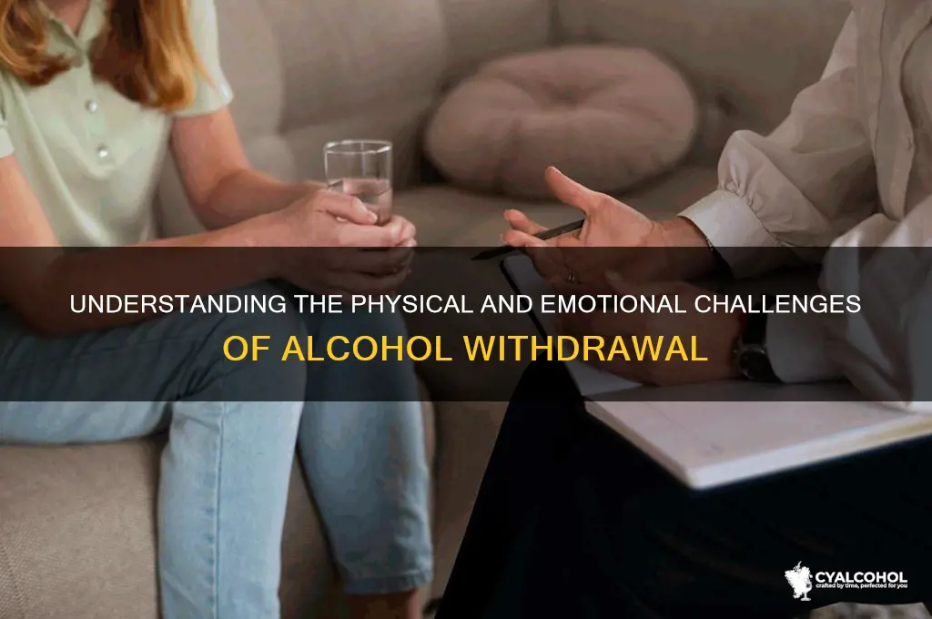 how does withdraw from alcohol feel
