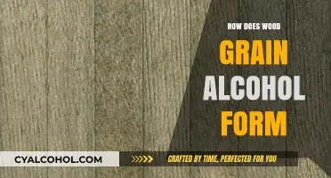 Understanding the Natural Process of Wood Grain Alcohol Formation
