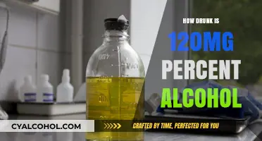 Understanding 120mg% Alcohol: How Intoxicated Are You Really?