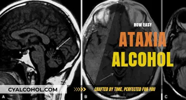 Understanding Alcohol-Induced Ataxia: Causes, Symptoms, and Recovery Tips