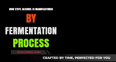 Fermentation Unveiled: The Art of Crafting Ethyl Alcohol Step-by-Step