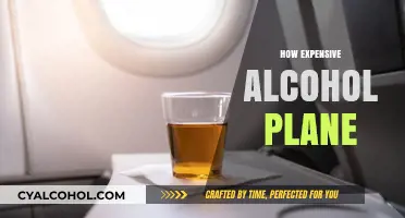 Sky-High Spirits: The Cost of Premium Alcohol on Airplanes