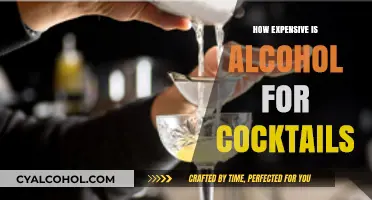 The Real Cost of Crafting Cocktails: Alcohol Price Breakdown