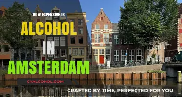 Amsterdam Alcohol Prices: A Guide to Drinking Costs in the City
