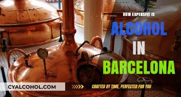 Exploring Barcelona's Alcohol Prices: A Guide to Costs and Budgeting