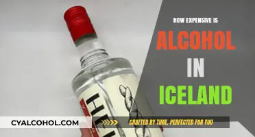 Exploring Iceland's Alcohol Prices: A Costly Indulgence or Affordable Treat?