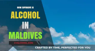 Exploring Alcohol Prices in the Maldives: A Costly Indulgence?