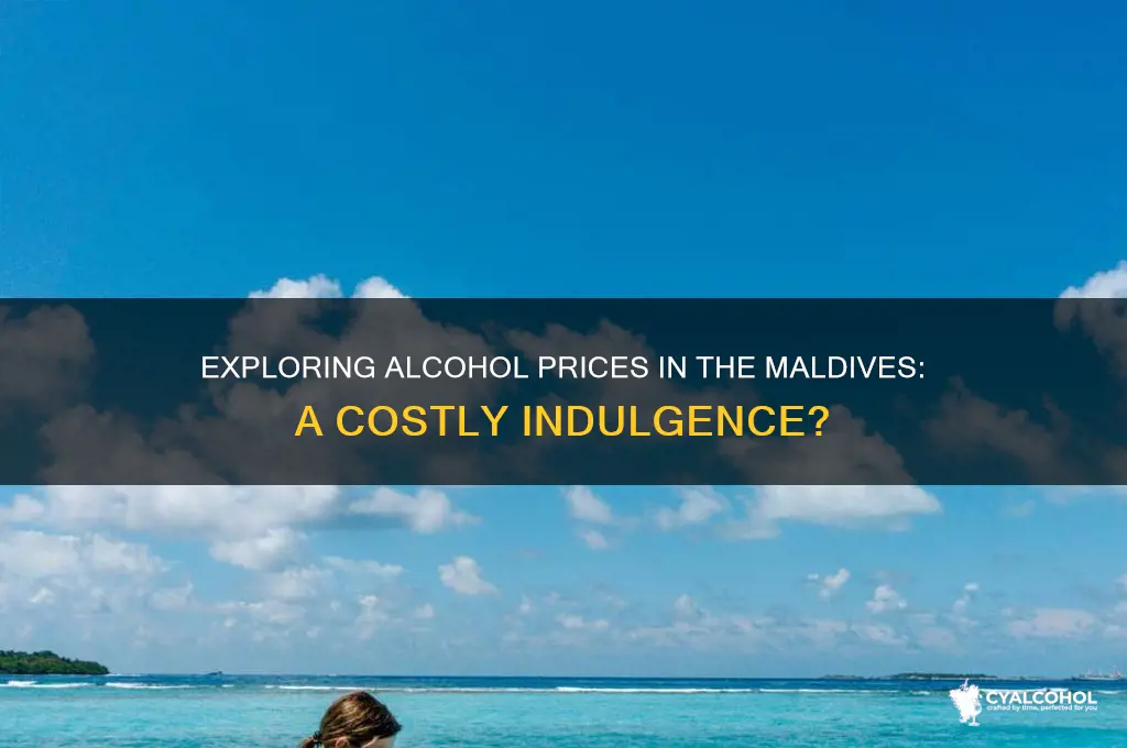 how expensive is alcohol in maldives