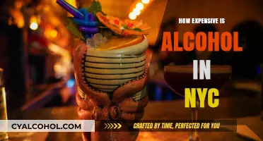 NYC Alcohol Prices: How Much Does a Night Out Really Cost?