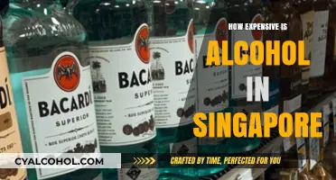 Exploring Singapore's Alcohol Prices: A Guide to Costs and Trends