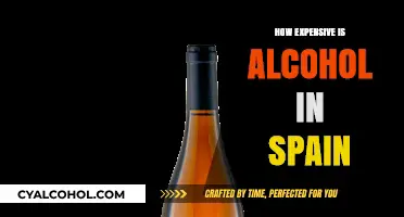 Exploring Spain's Alcohol Prices: A Budget-Friendly Guide for Travelers