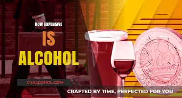 The Real Cost of Alcohol: Budgeting for Social Drinking