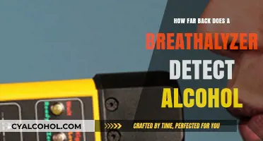 How Long Does a Breathalyzer Detect Alcohol Consumption?