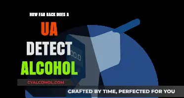 How Long Does Alcohol Stay Detectable in a UA Test?
