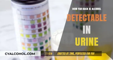 Detecting Alcohol in Urine: How Long Does It Stay Traceable?