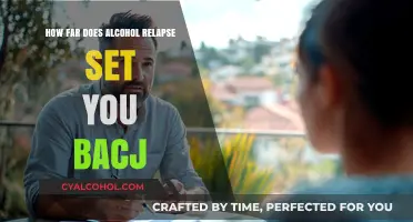 Alcohol Relapse: How Far Back Does It Set Your Recovery?