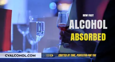 How Fast Is Alcohol Absorbed? Factors Affecting Absorption Rates