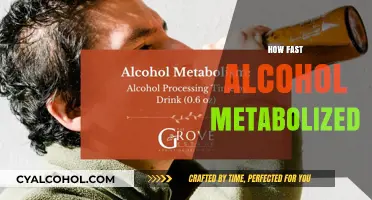 Understanding Alcohol Metabolism: How Quickly Does Your Body Process Drinks?