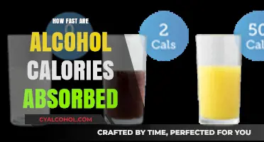 Alcohol Calories: Absorption Speed and Impact on Your Body