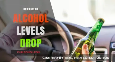 Understanding Alcohol Metabolism: How Quickly Does Your BAC Decline?