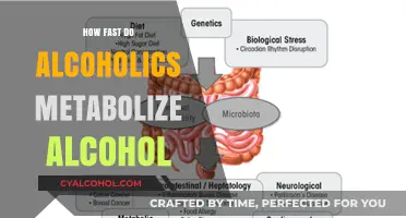 Alcohol Metabolism in Alcoholics: Understanding the Unique Breakdown Process