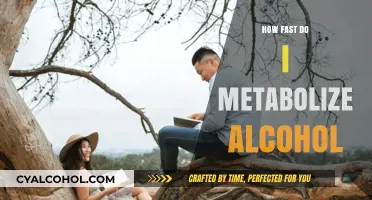 Understanding Your Alcohol Metabolism: Factors Affecting How Quickly You Process Drinks