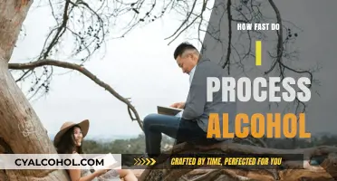 Understanding Your Body's Alcohol Processing Speed: Factors and Insights