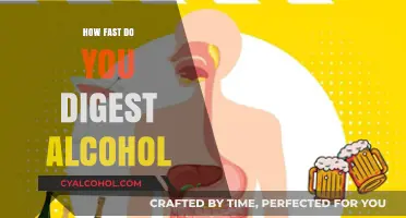 Understanding Alcohol Digestion: How Quickly Does Your Body Process Drinks?